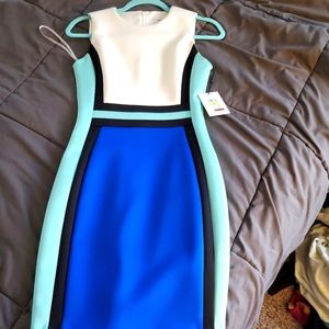 Calvin Kline dress size 4P NWT